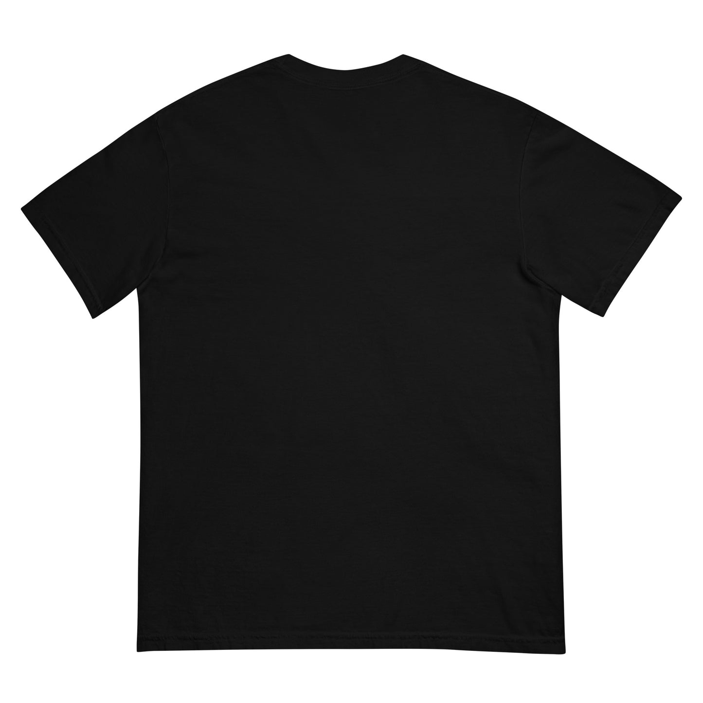 "Backshot Enthusiast" Black Tee